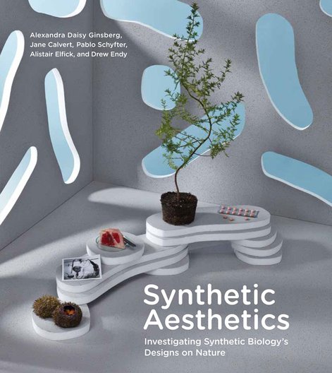 Synthetic Aesthetics © Ginsberg / MIT Press 