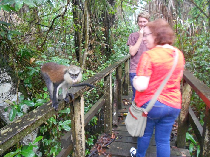 Alex Bratt, arts director Nigeria and director of the British Council Nigeria, Connie Price, being followed by a monkey at Lekki nature reserve photo by Vicky Richardson